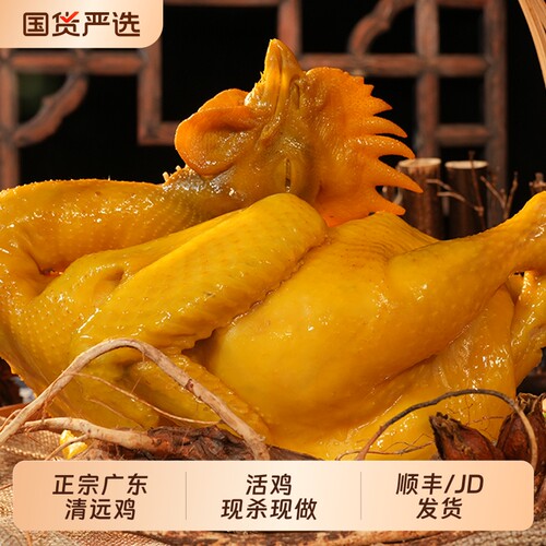 叹鸡正宗清远盐焗鸡特色美食五指毛桃手撕鸡加热即食熟食真空整只