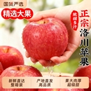 陕西冰糖心大果脆甜 包邮 正宗洛川红富士苹果应当季 新鲜水果整箱