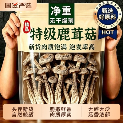 古田鹿茸菇干货非特级500g鹿茸菌菇批发食用菌香菇脆煲汤火锅食材