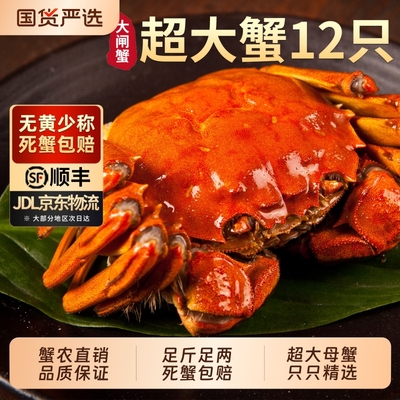 【活蟹】苏州大闸蟹鲜活全母特大螃蟹河蟹超大现货精品海鲜礼盒