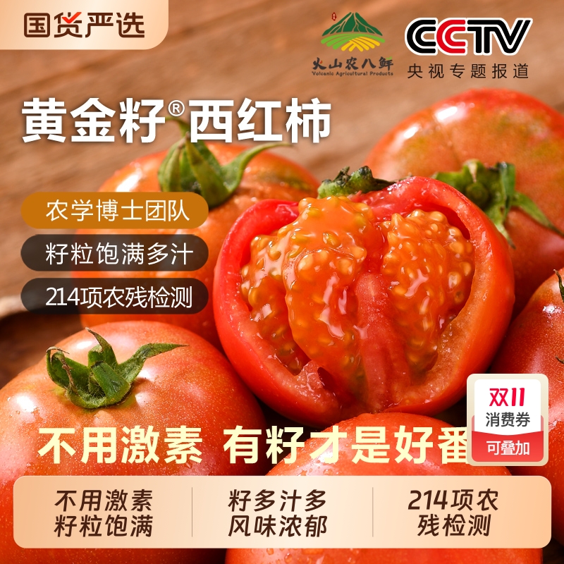自然熟黄金籽西红柿现摘新鲜沙瓤生吃番茄水果农家顺丰4.8-5斤