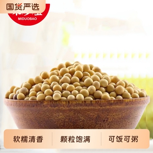 米多宝黄豆250g可发豆芽打豆浆圆粒东北生黄大豆五谷杂粮粗粮豆类