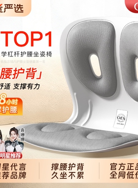 OES人体工学护腰坐垫腰靠垫坐姿椅腰部支撑靠垫办公护腰久坐神器