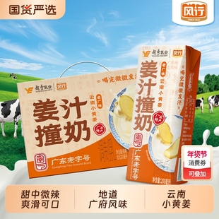 风行牛奶姜汁撞奶200ml*10盒整箱女生营养早餐秋冬牛奶调制乳国货