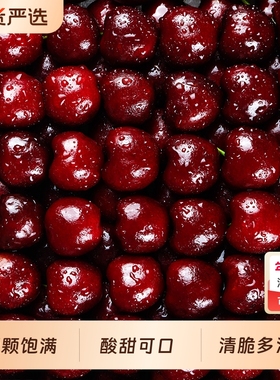 智利进口车厘子新鲜水果原箱礼盒顺丰/京东包邮5斤3J大果脆甜 -Y