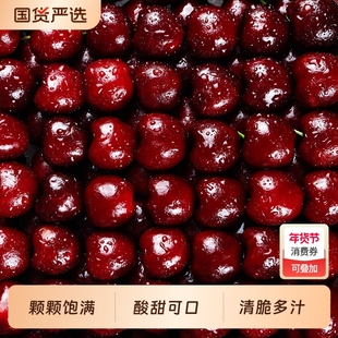 智利进口车厘子新鲜水果原箱礼盒顺丰/京东包邮5斤3J大果脆甜 -Y