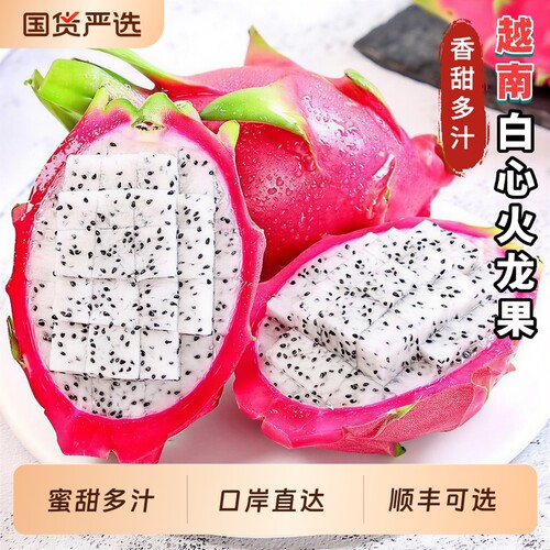 正宗越南白心火龙果热带孕妇水果薄皮多汁包邮整箱发货顺丰可选