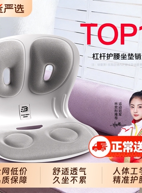 本博护腰坐垫护腰久坐神器靠垫办公人体工学腰部支撑防驼背坐姿椅