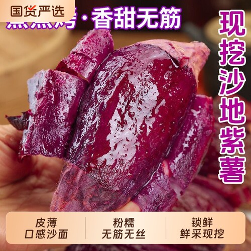 沙地紫薯新鲜蜜甜板栗红薯番薯地瓜蜜薯糖心山芋烟薯香薯农家自种