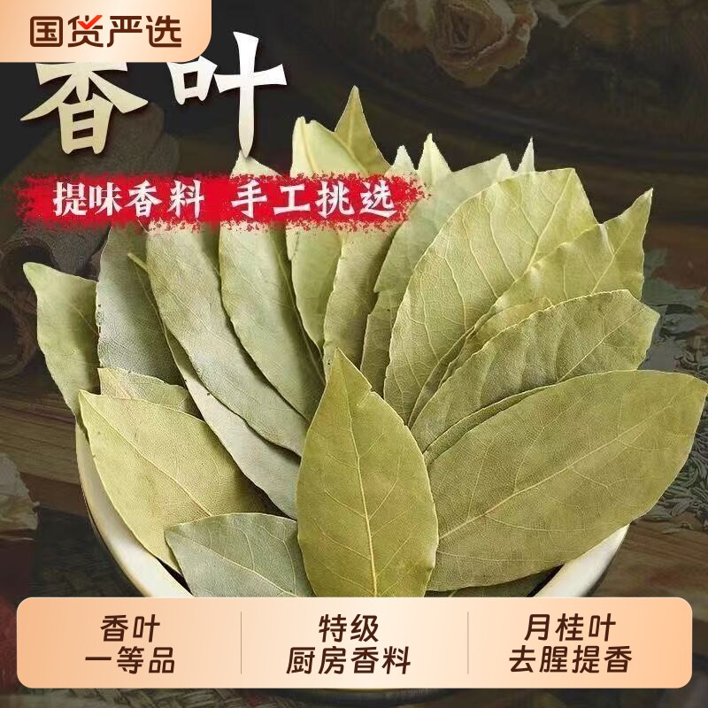 香叶一等品特级厨房香料香叶正宗新货月桂叶去腥提香卤菜炖肉
