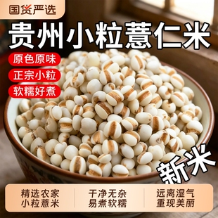 贵州兴仁小薏米仁新货小薏米新米小薏仁米糯薏苡仁正宗意米仁煮粥