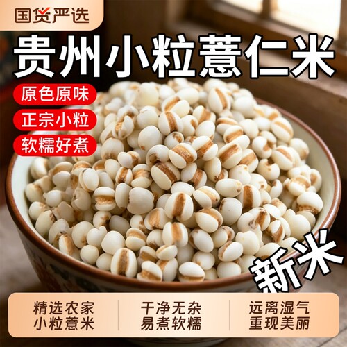 贵州兴仁小薏米新米新货薏苡仁