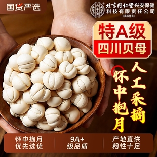 北京同仁堂上用特级川贝母中药材止咳润肺正品野生官方旗舰店百合