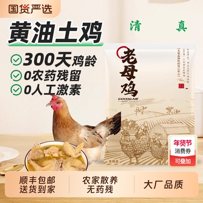 顺丰包邮清真黄油老母鸡