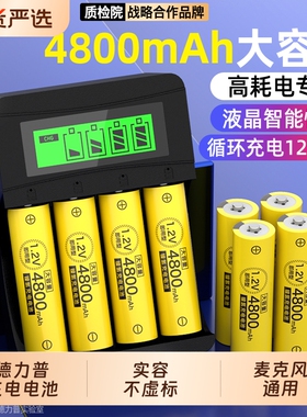 德力普5号充电电池套装KTV话筒相机玩具4800五号大容量AAA可充电器7号