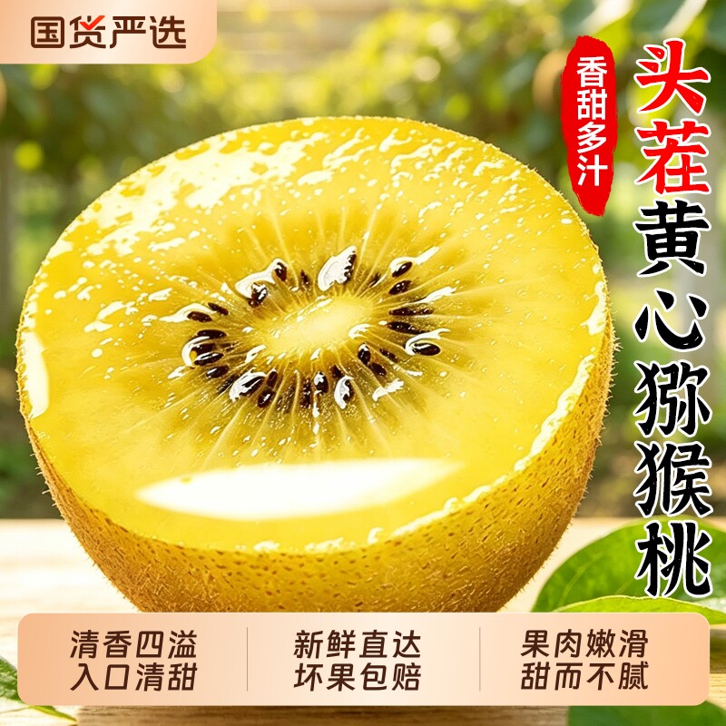 四川黄心猕猴桃奇异果图片