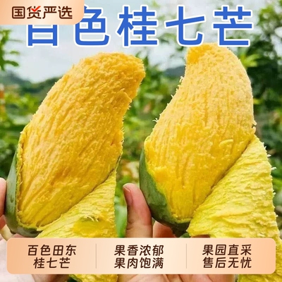 正宗广西百色桂七芒果新鲜孕妇当季水果现摘青皮芒果整箱香芒包邮