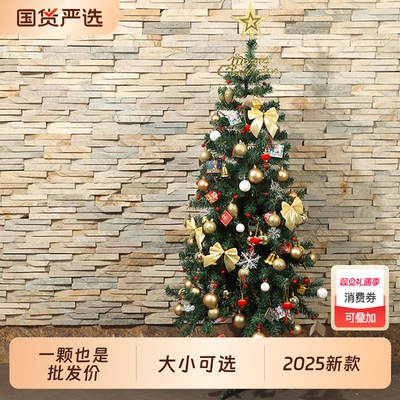 圣诞树2025款大小都有