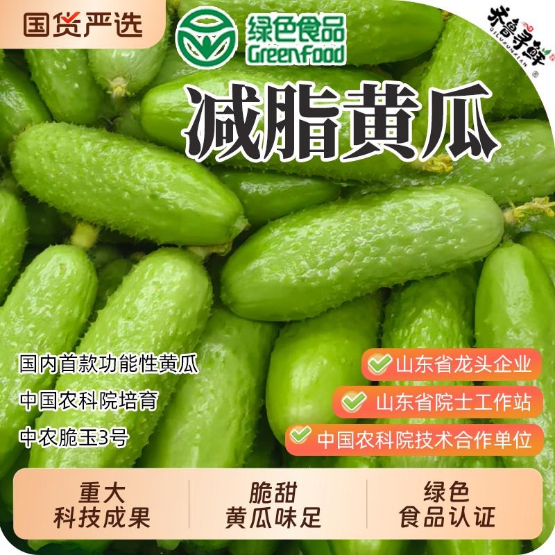 顺丰包邮减脂水果黄瓜-绿色中农脆玉3号生吃代餐即食国货农村现摘