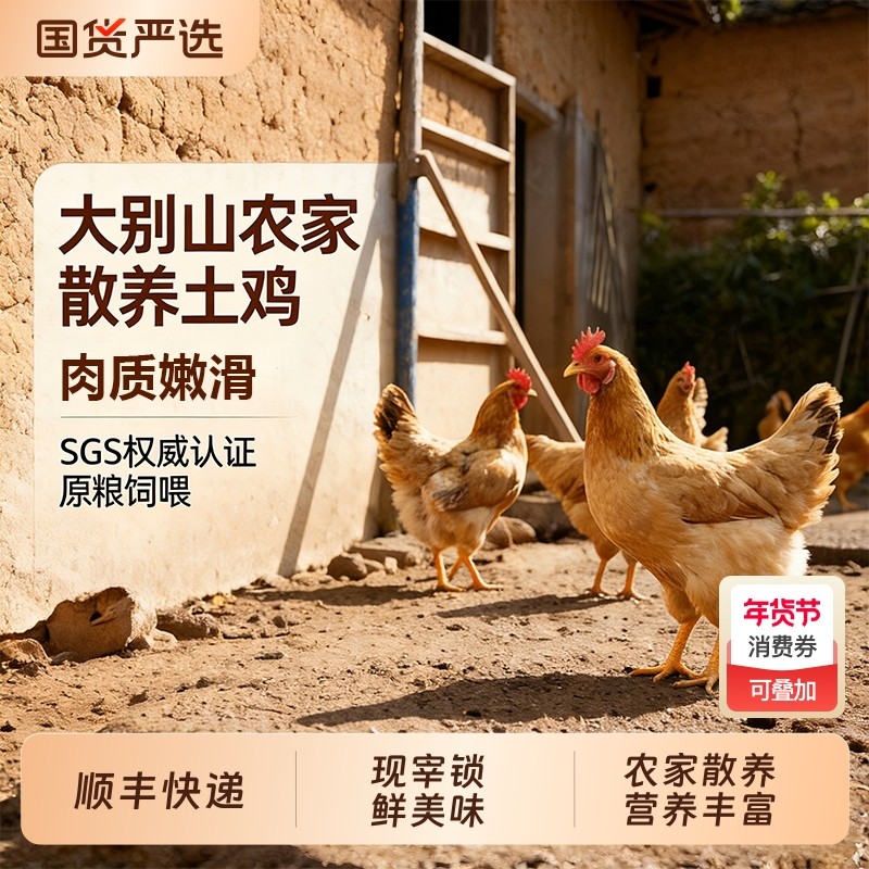 大别山三黄鸡农家散养土鸡走地鸡新鲜现杀整只童子鸡冷链保鲜母鸡