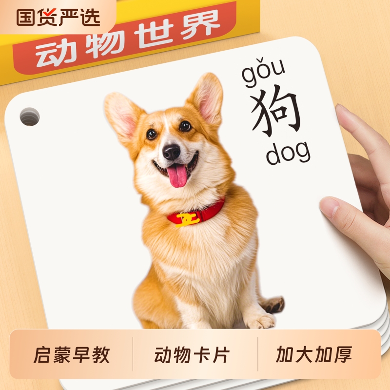 动物认知卡片幼儿启蒙早教书