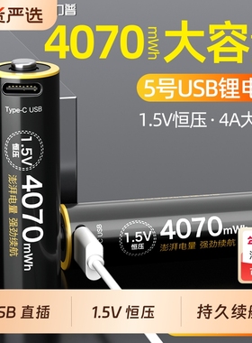 德力普5号锂电池4070mwh大容量1.5V恒压电动玩具电池指纹锁USB充电电池
