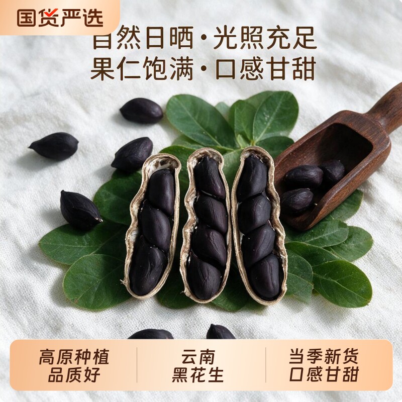 云南黑花生带壳农家生种子普洱小粒特产晒干大颗粒黑皮新货图片