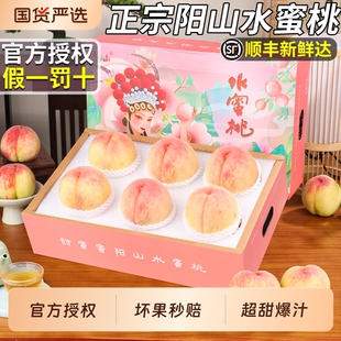 顺丰无锡正宗阳山水蜜桃当季新鲜时令水果白凤特大毛桃子礼盒包邮