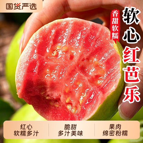 广西红心芭乐5斤|115人收藏