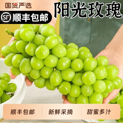 【顺丰包邮】阳光玫瑰葡萄新鲜水果当季一整箱晴王香印葡萄青提子