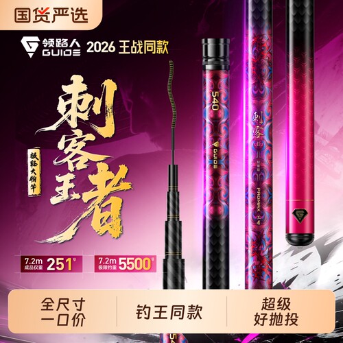 领路人刺客王者鲢鳙鱼竿手杆台钓鱼轻量大物竿钓鱼竿台钓竿超硬