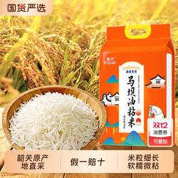 舶元马坝油粘米5kg*1袋原粮广东韶关南方籼米地标米煲仔饭优选