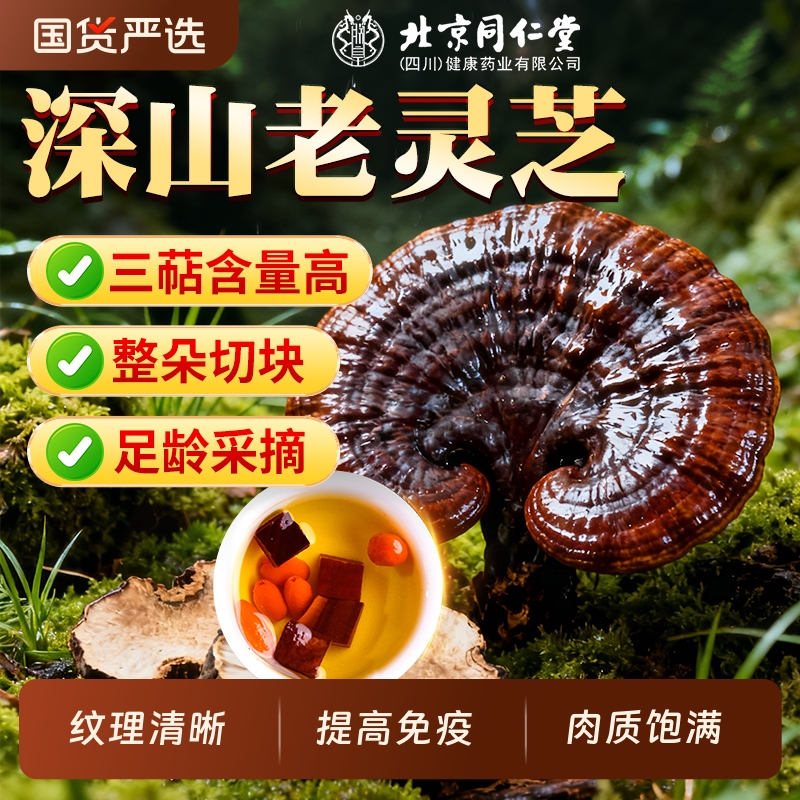 同仁堂灵芝块深山老灵芝非野生