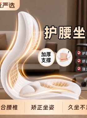 人体工学护腰坐垫|超1000次加购