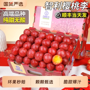 顺丰智利樱桃李进口当季新鲜水果爆甜恐龙蛋李子原箱礼盒整箱包邮