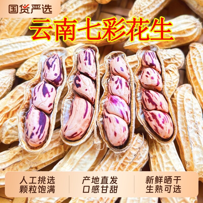 2025新云南七彩野地花生晒干带壳生熟彩色花生七彩花生米整箱批发