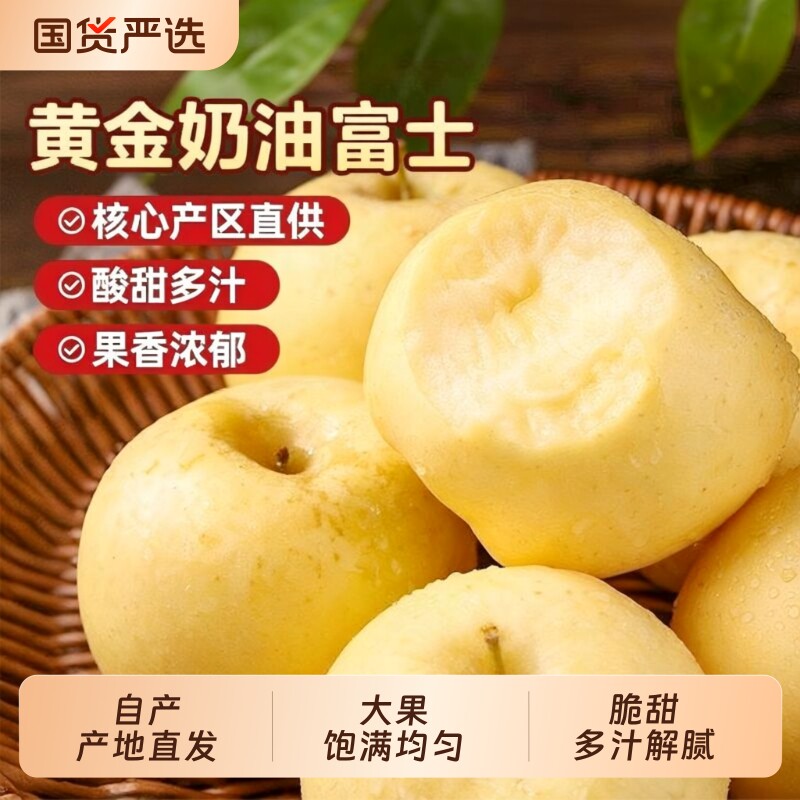 山东烟台黄金奶油富士苹果当季正宗奶油苹果9整箱包邮时令斤鲜果