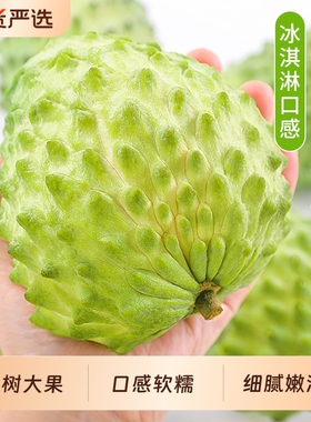 顺丰牛奶凤梨释迦果新鲜番荔枝5斤大目佛头果林檎摩尼果当季水果