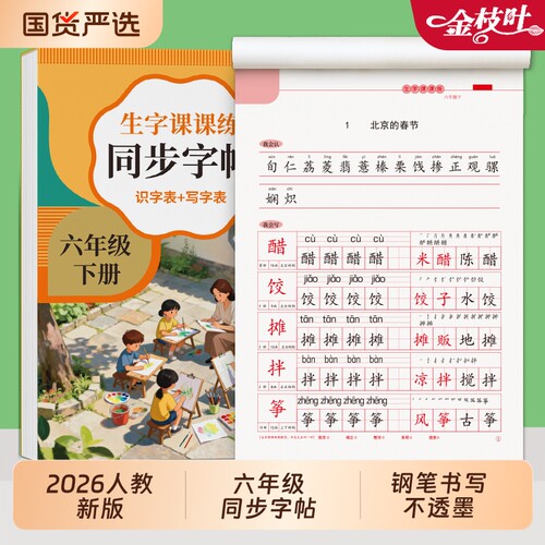 六年级下册练字帖字帖上册小学生专用语文同步临摹每日一练人教版教材硬笔书法写字课课练生字带练字本名字作文拼音楷书钢笔课本