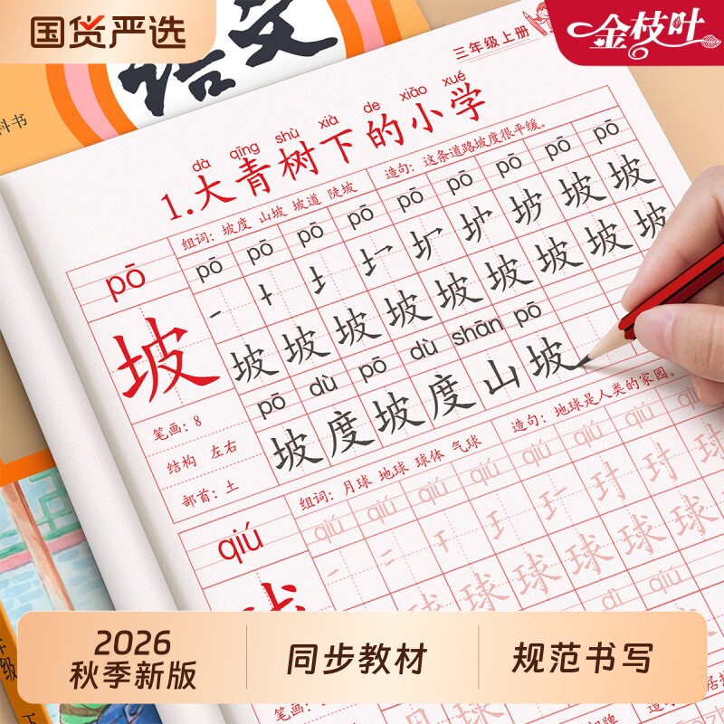 三年级练字帖上册同步小学生专用字帖人教版生字每日一练笔画笔顺描红本楷书课练期钢笔硬笔练字本暑假打卡作文基础写字练习新版