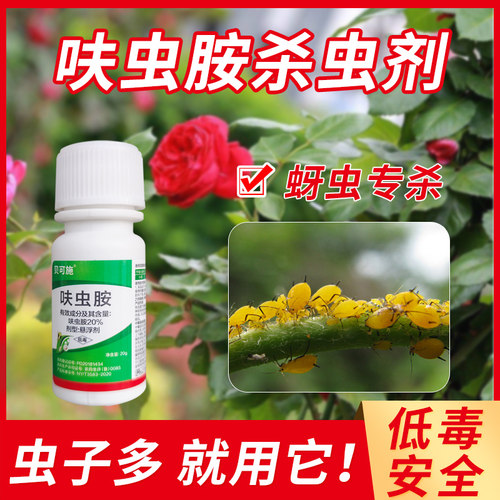 贝可施呋虫胺小白药虫卵双杀无味