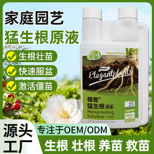 猛生根原液强力促根爆根壮苗营养液水培扦插苗木绿植生根剂免稀释