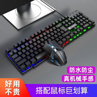 有线台式 双飞蛇机械手感键盘鼠标套装 电脑笔记本电竞打字专用USB