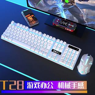 机械手感发光游戏电脑键盘有线USB电脑通用办 双飞蛇键盘鼠标套装