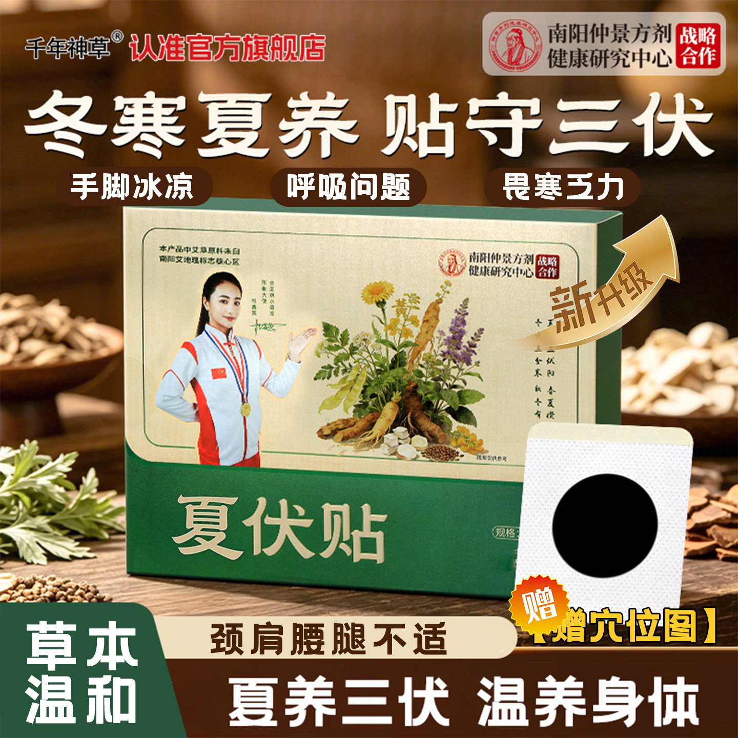 南阳仲景方剂艾草三伏贴冬病夏治