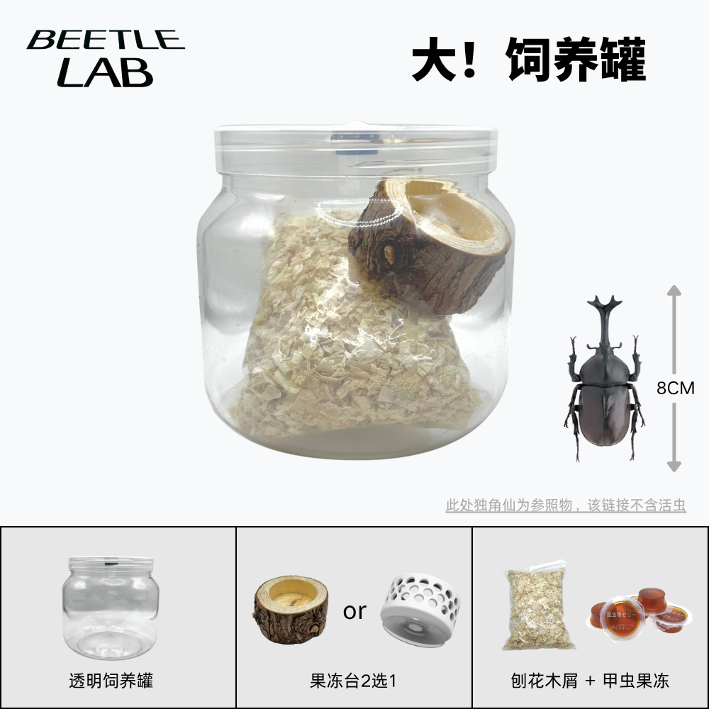甲虫饲养罐超大罐活体饲养套餐