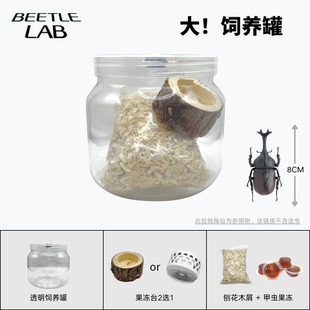 【成虫幼虫饲养罐】超大罐活体饲养套餐零售幼虫成虫罐饲养盒