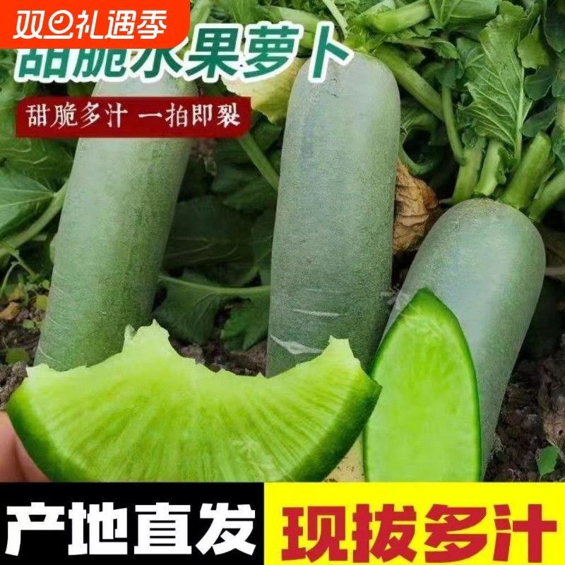 正宗水果萝卜甜脆水果型萝卜青萝卜新鲜生吃脆甜即食农家蔬菜整箱