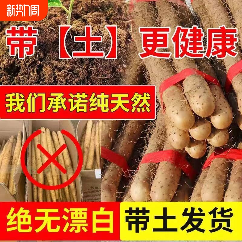 新鲜铁棍山药正宗铁杆淮山河北小白嘴山药产地直发非温县垆土铁棍