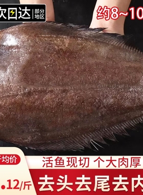 鲽鱼新鲜冷冻碟鱼身格陵兰特大比目鱼蝶鱼中段整条去头深海鸦片鱼